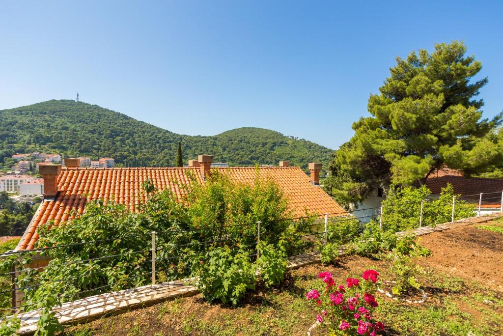 Apartments Mandy - 7