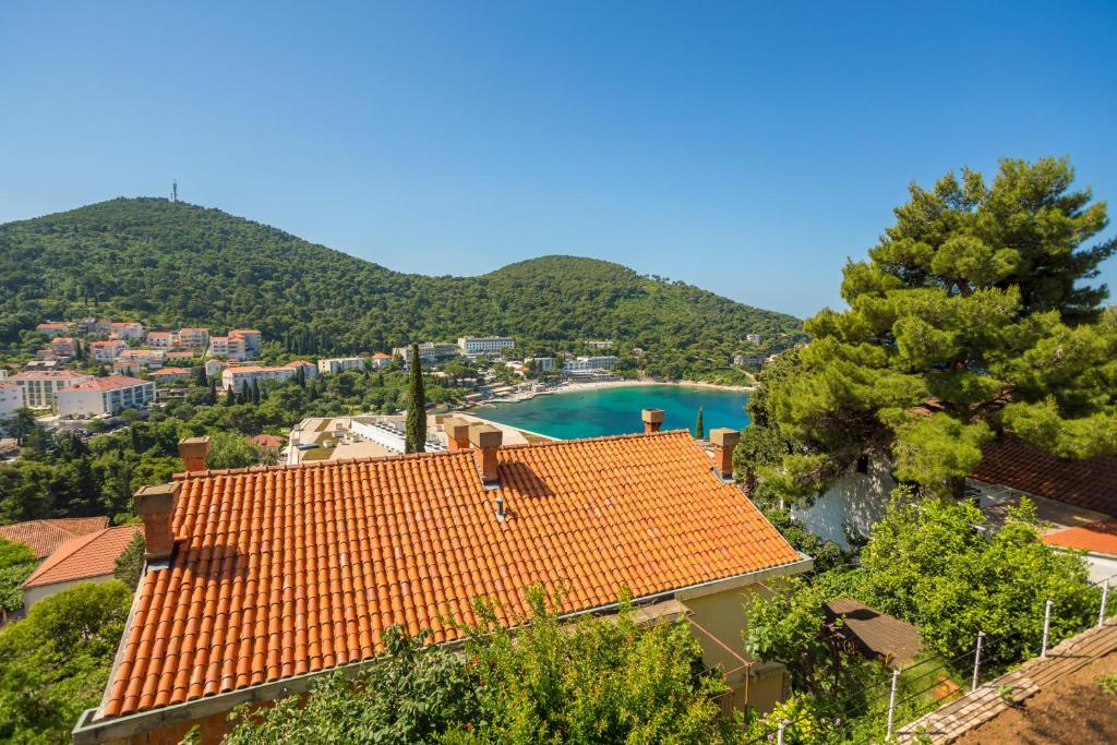 a view of a house and a swimming pool at Apartments Mandy in Dubrovnik