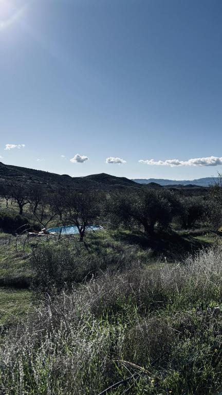 a field of grass with trees in the distance at MOZa LUZe - Off Grid Casa Rural in El Pilar y Provincias