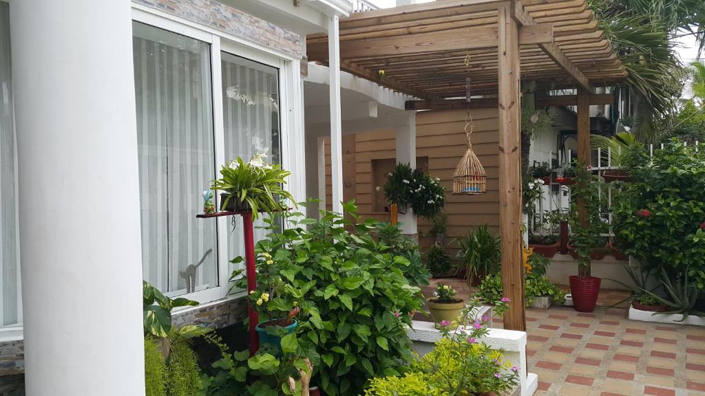 Zahrada ubytování Hospedaje Solymar Sarie Bay
