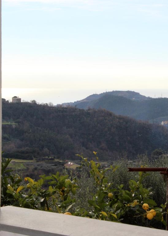 Appartamenti Tra gli Ulivi - Apartamento De Dos Dormitorios