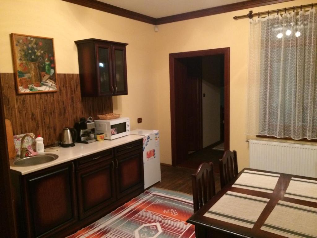 Kuchyň nebo kuchyňský kout v ubytování Bereg-Travel