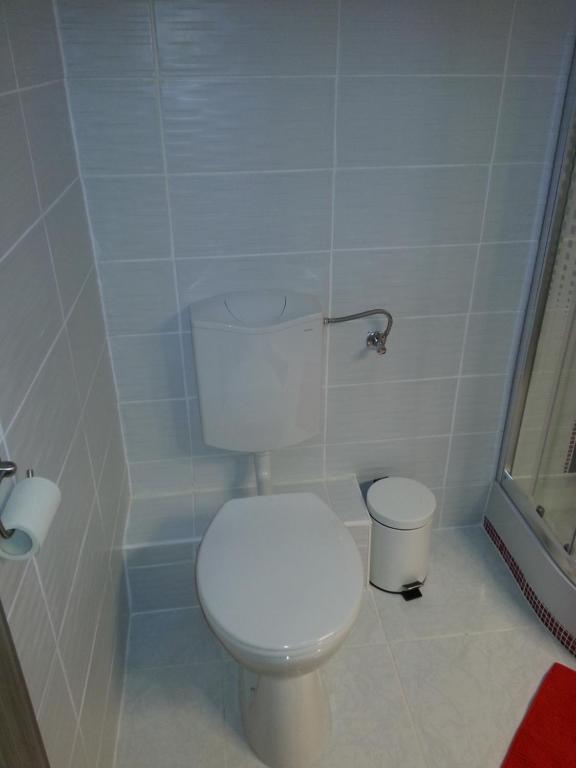 A bathroom at Downtown Apartment Miskolc