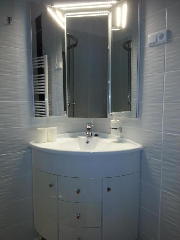 A bathroom at Downtown Apartment Miskolc
