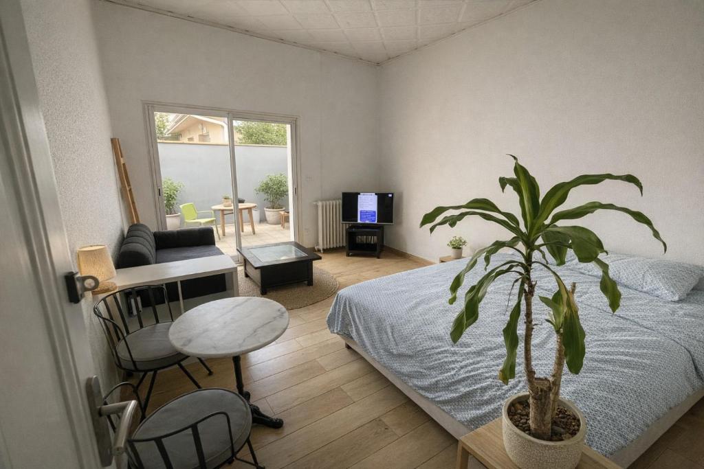 a room with a bed and a plant in it at Grande Chambre avec parking possible en supplément, BORDEAUX BASTIDE in Bordeaux