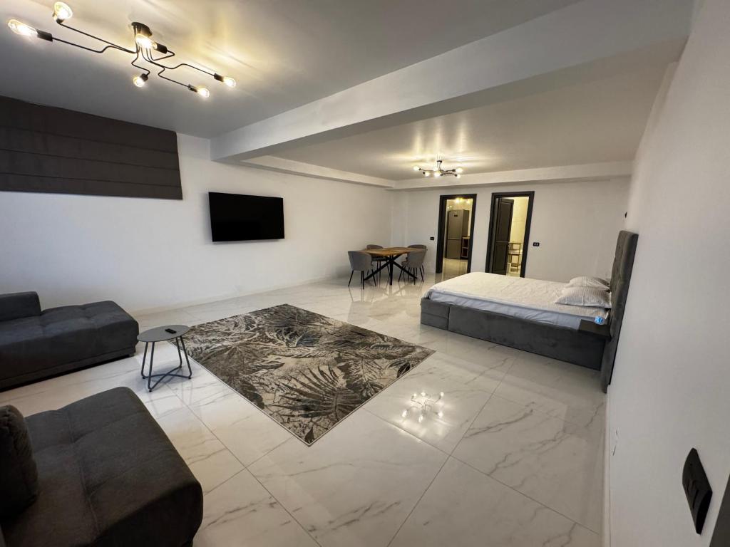 a bedroom with a bed and a couch and a tv at PET apartments in Râmnicu Vâlcea