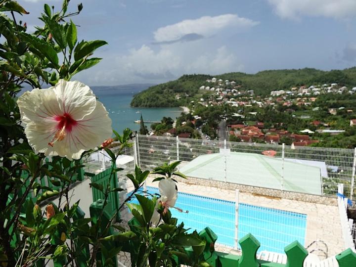 uma flor num arbusto com um campo de ténis em Les Gites Josiane em Les Trois-Îlets