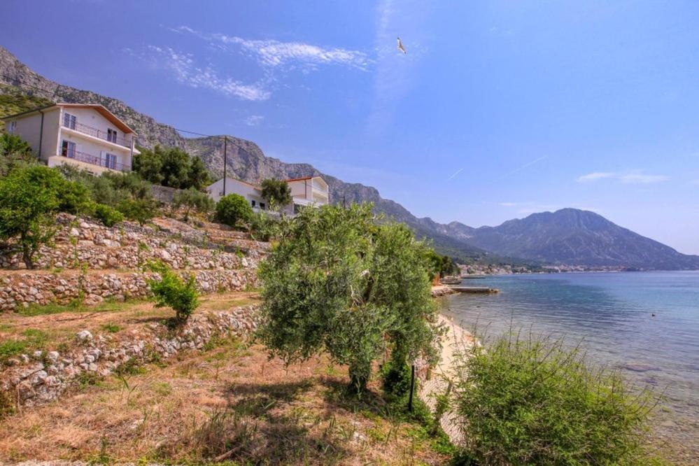 a house on a hill next to a body of water at Apartments Gaspar in Podaca