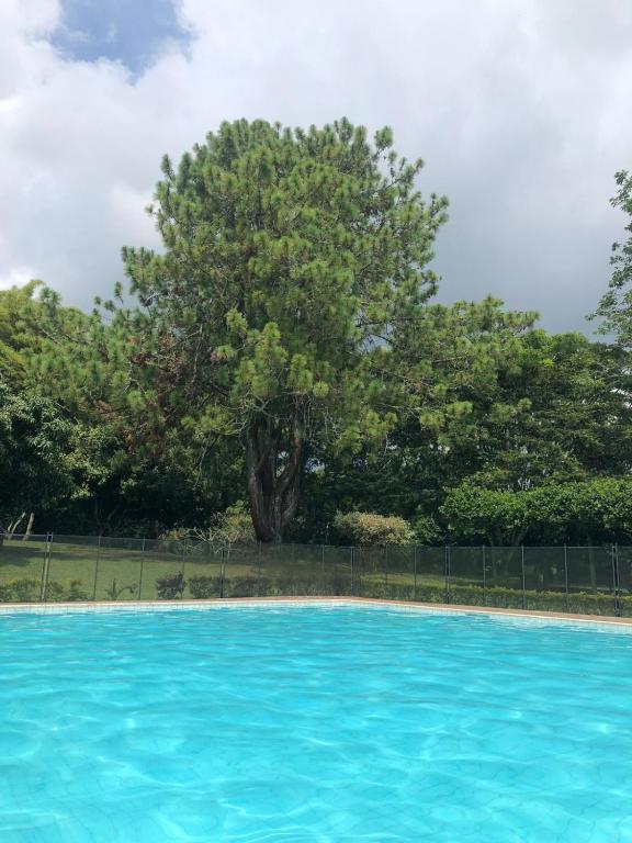 a large blue swimming pool with a tree in the background at Lago Calima Hostel in Calima