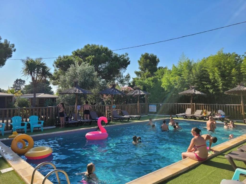a group of people playing in a swimming pool at ZEcamping 3 étoiles avec piscine chauffée - bar et restaurant in Pézenas
