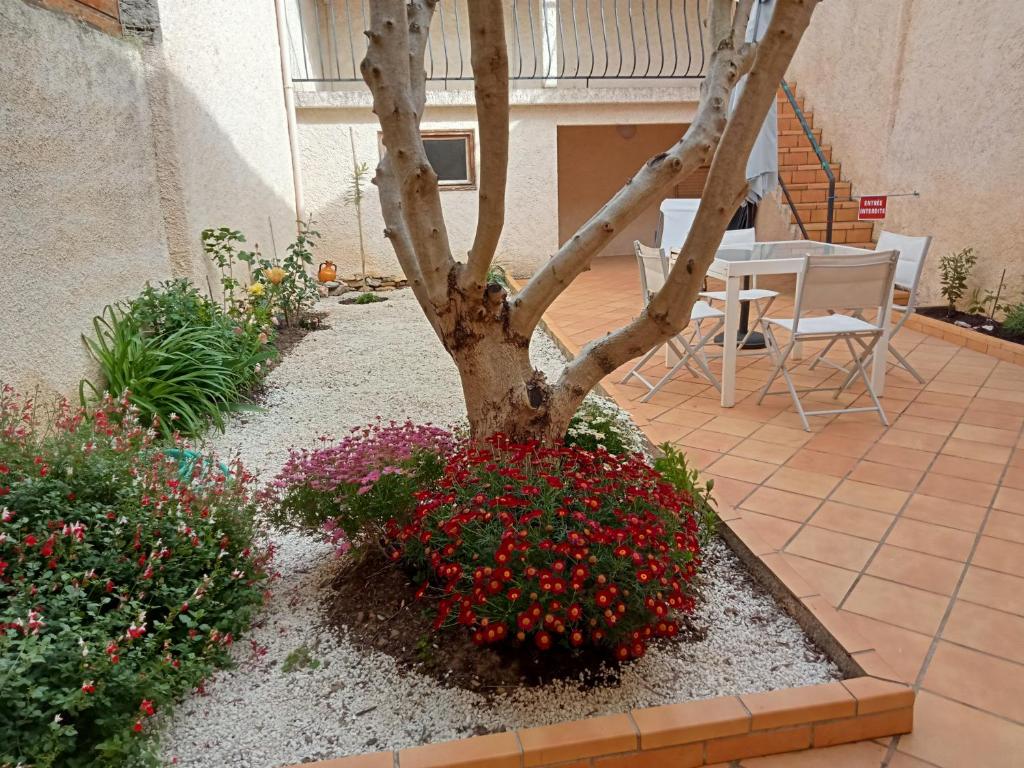 Le Patio