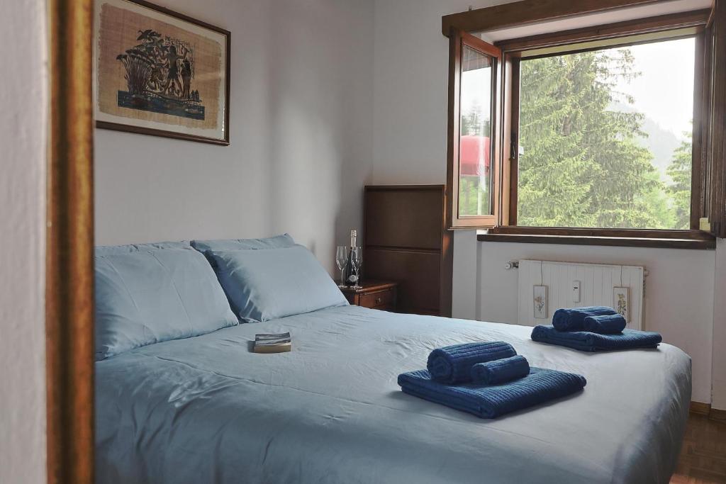 Menz campiglio, Madonna di Campiglio — property photo 2