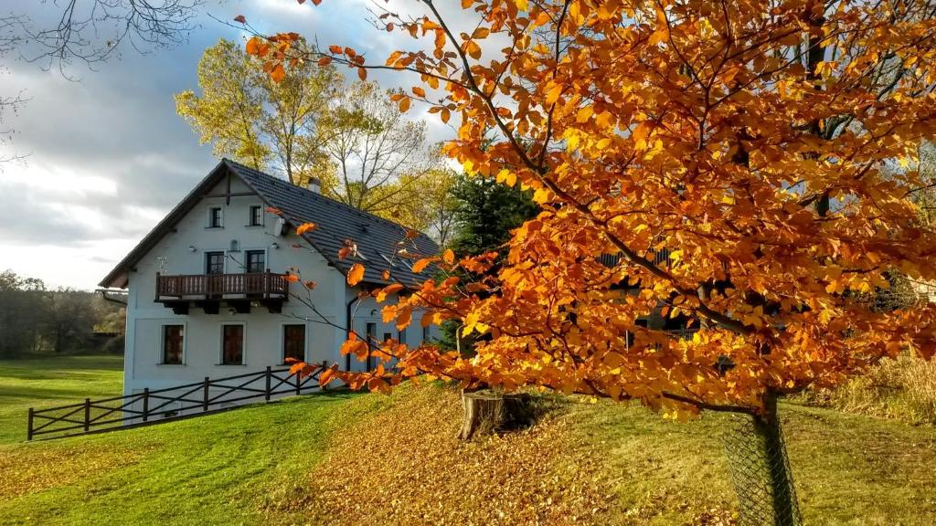 a white house with a tree in front of it at Penzion Stanský Mlýn in Hlinsko