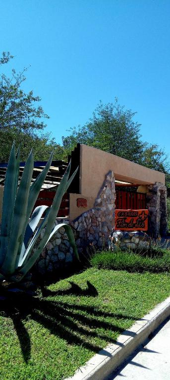 a house with a plant in front of it at Cabañas Flor De Lis in Valle Hermoso