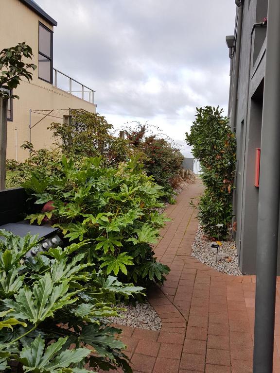 Clearwater Motor Lodge - Resim 20