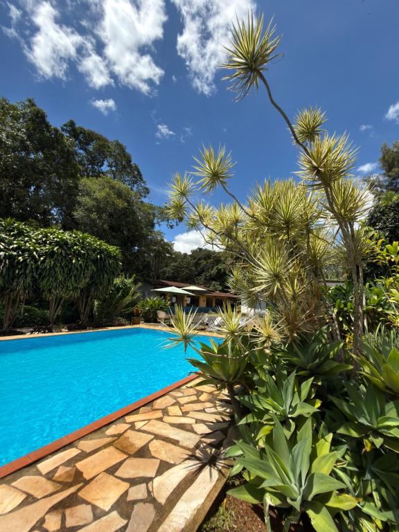 a swimming pool surrounded by trees and plants at Pousada das Brumas in Brumadinho