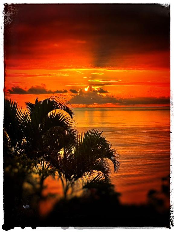 PACIFIC VIEW Homestay - photo 12 - Tahiti, Polynésie