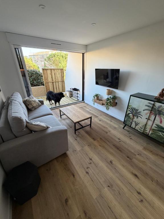 a living room with a couch and a tv and a cat at Ocean Lodge Seignosse in Seignosse