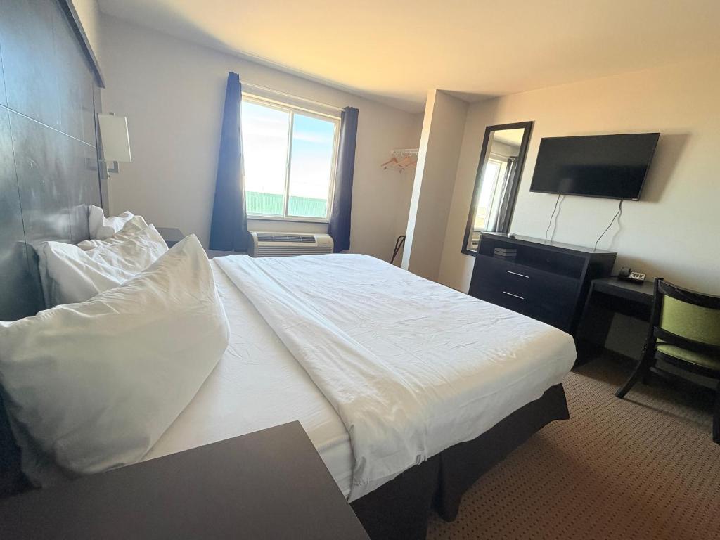 Black Gold Suites Stanley - King Suite
