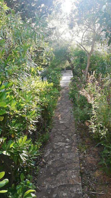 a stone path in the middle of a garden at Green Garden in Gajac