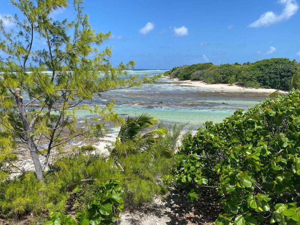 Rangiroa Reef Lodge - photo 9 - Rangiroa, Polynésie