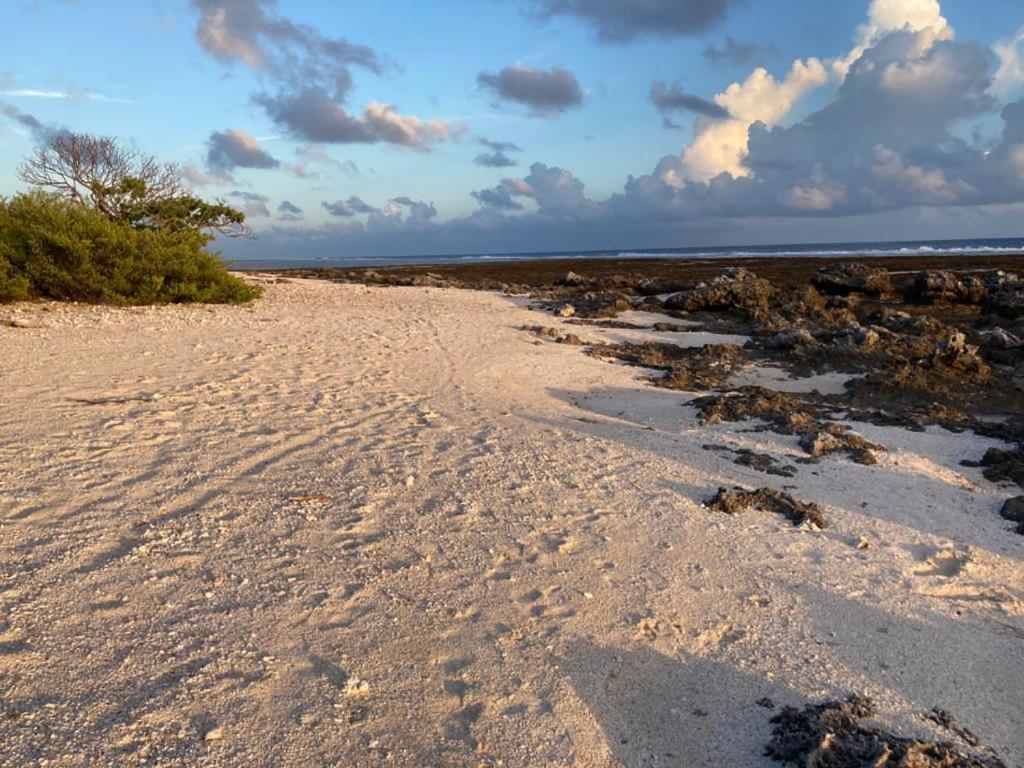 Rangiroa Reef Lodge - photo 10 - Rangiroa, Polynésie