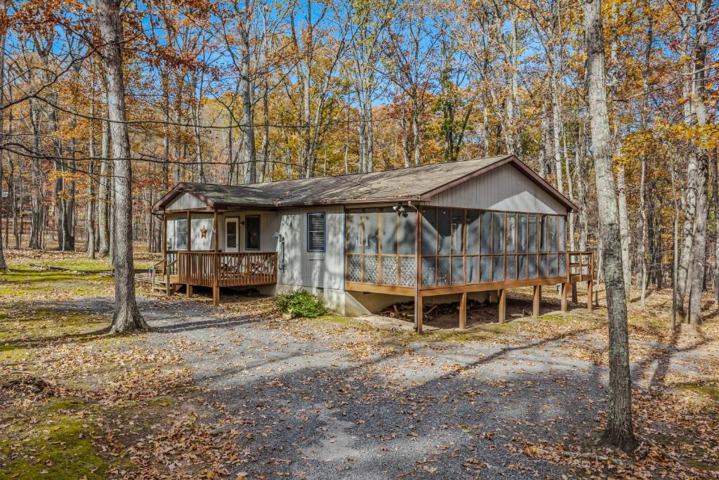 a small cabin in the woods with trees at Namba Cabin - Feel the Bliss in Morton Grove