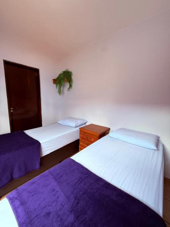 two beds sitting next to each other in a room at Lulle Hostel - Congonhas - Expo - Interlagos - Morumbi in São Paulo