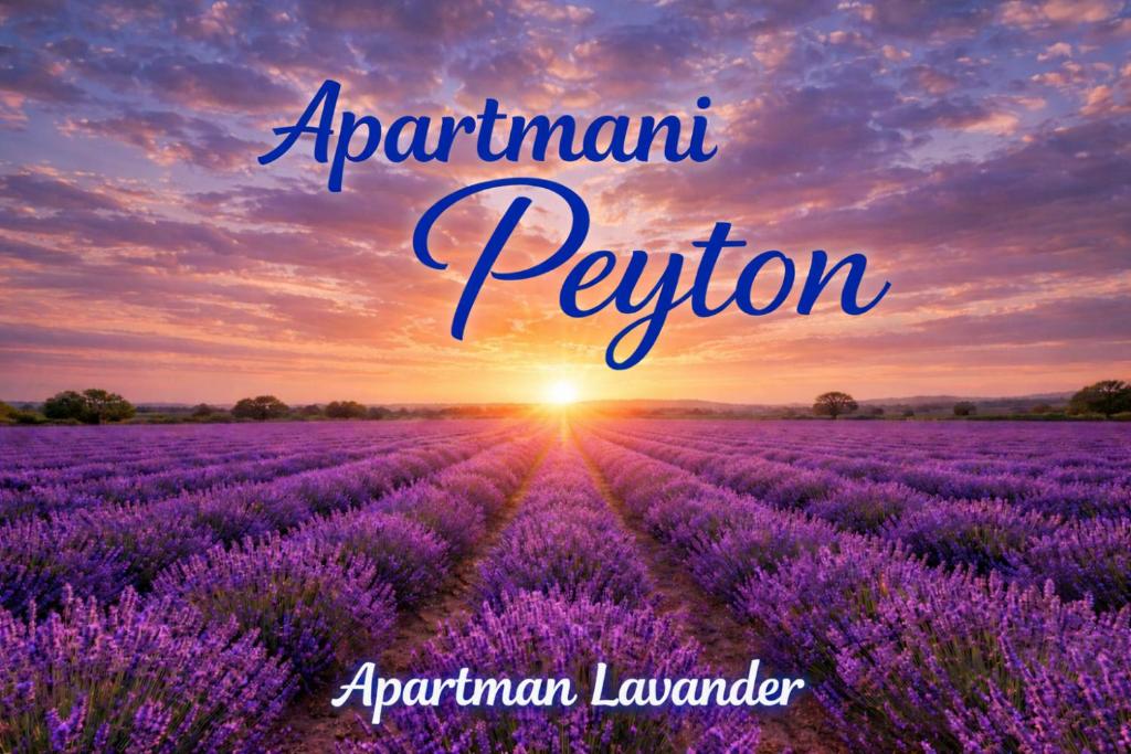 Apartmani Peyton - 4