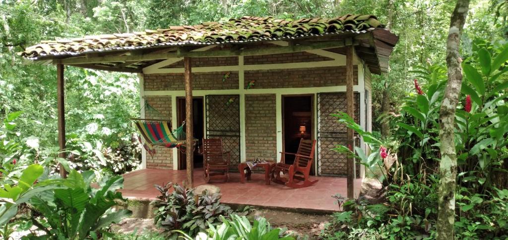 a small house in the middle of a forest at Jungle Cabins El Escondido in Muy Muy