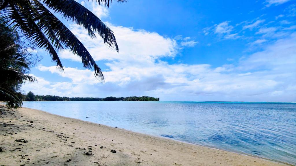 a beach with a palm tree and the ocean at Muri Lagoon Cottage in Rarotonga