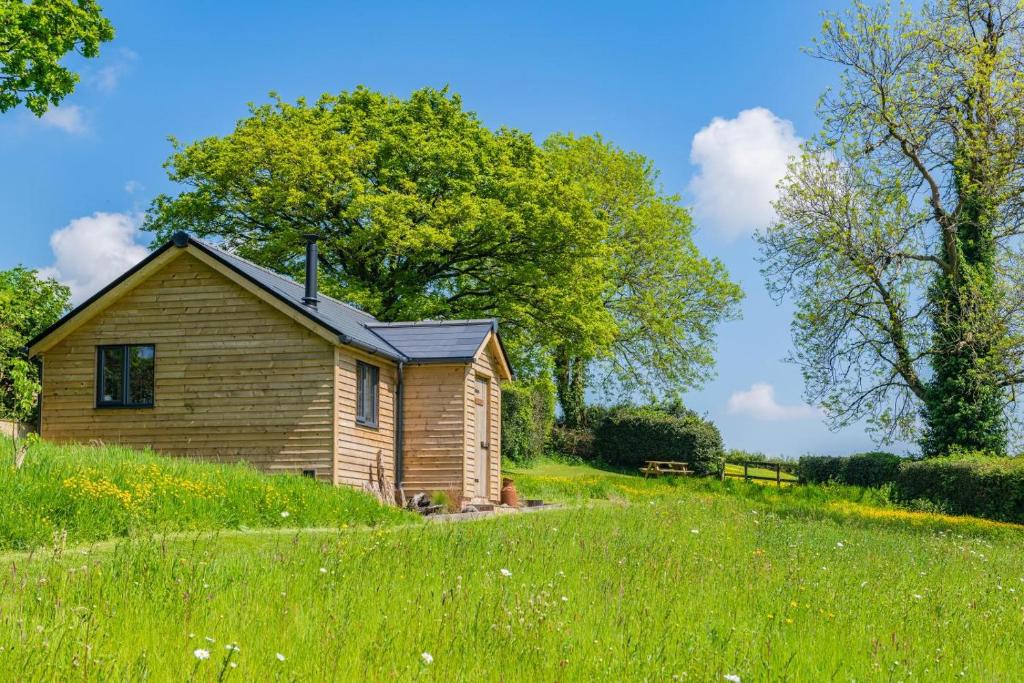 a small wooden house in a field of grass at 1 Bed in Okehampton oc-p29017 in Okehampton