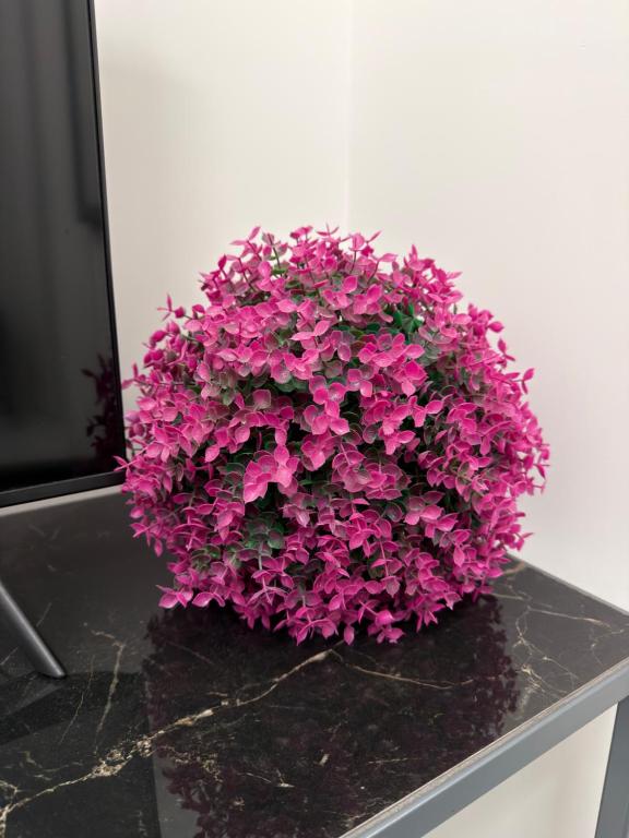 Vi Luxury Room - Housity