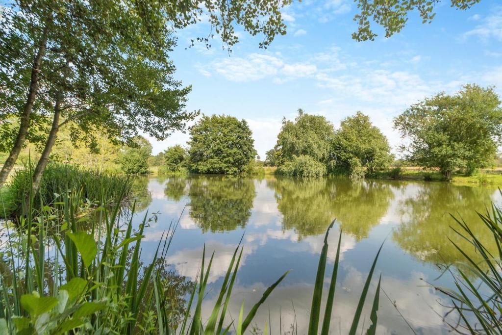 a view of a lake with trees and clouds in the sky at 2 Bed in Oxborough oc-r29291 in Oxborough