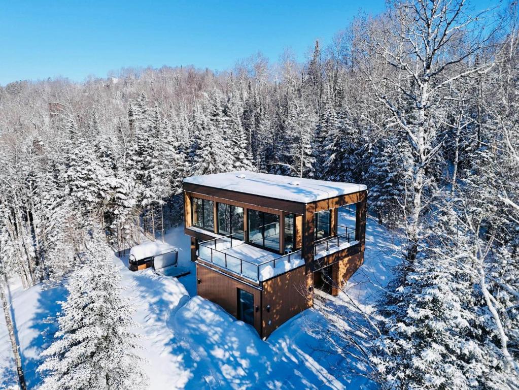 a cabin in the woods in the snow at Chalet Symbiose21 - Vue montagne, Sauna et spa in Saint Come