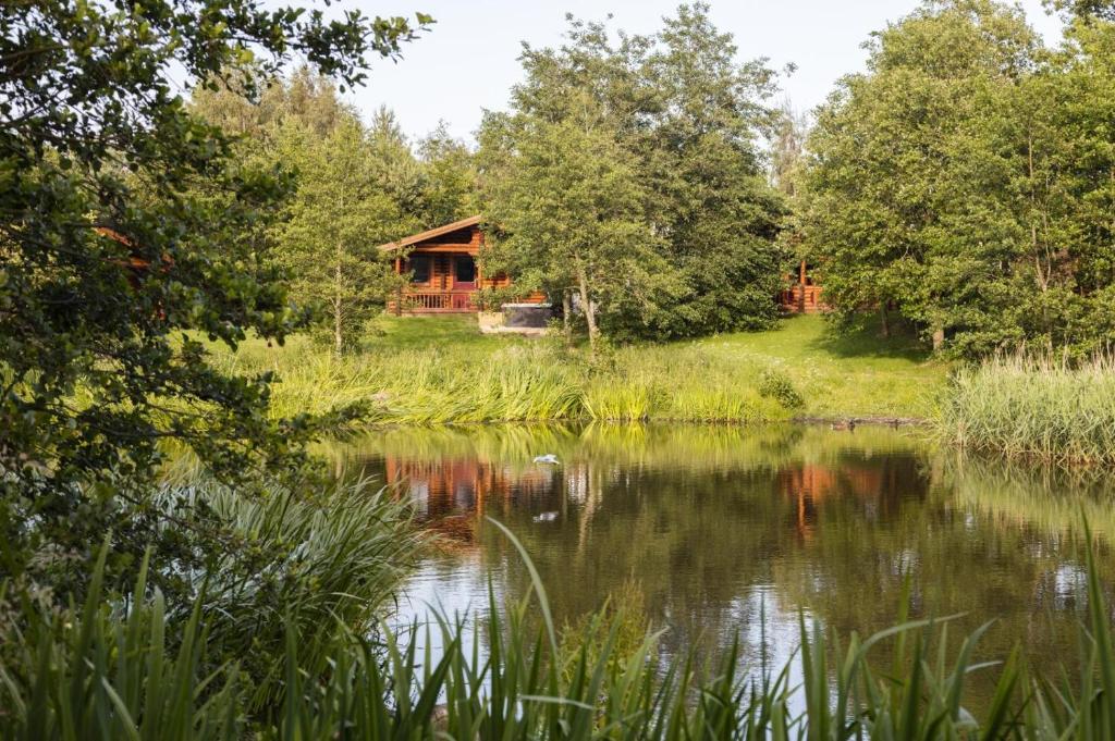 a cabin in the woods next to a lake at 2 Bed in Felton oc-c30643 in Felton