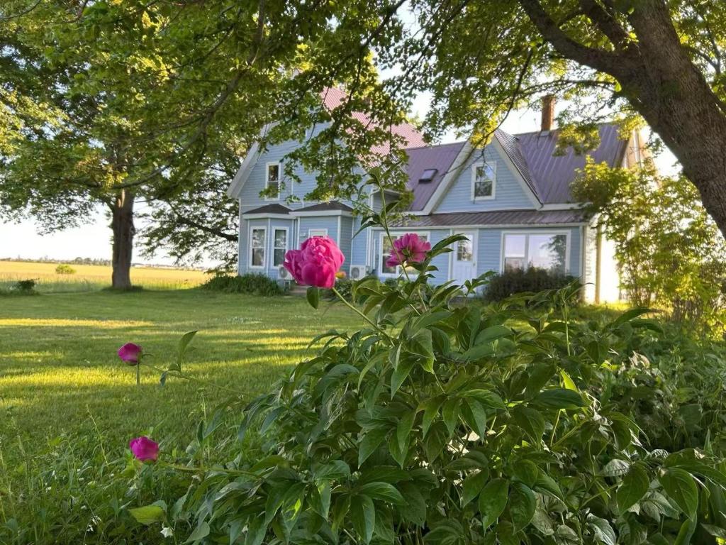 a blue house with pink flowers in front of it at Garden View near Confederation Bridge and Beaches in Borden-Carleton