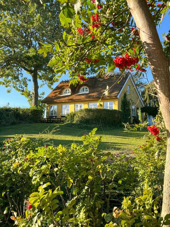 a yellow house with red flowers in front of it at Charming Farmhouse With Views On Møn in Borre