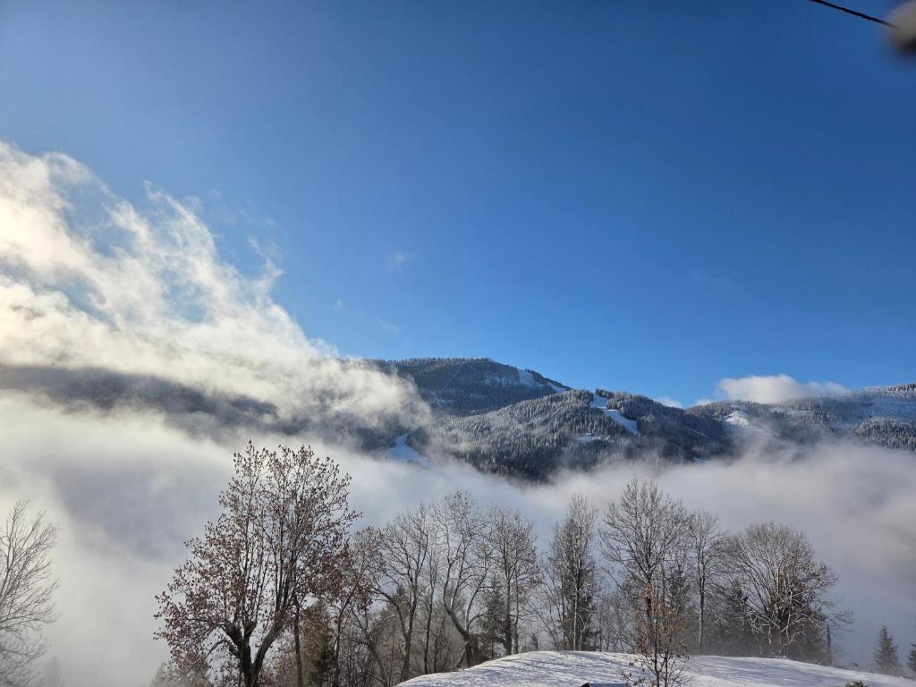 Hotel Restaurant Raunig - 16