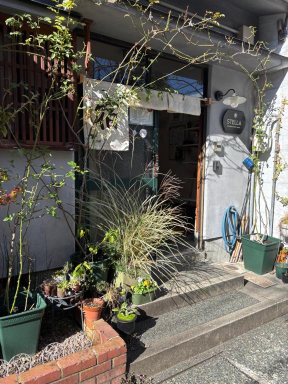 a front door of a house with potted plants at Kanazawa Guesthouse Stella in Kanazawa