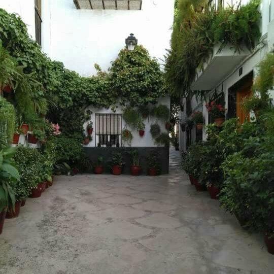 a courtyard with potted plants and a building at Casa Lara - Sierra de Cazorla in Quesada