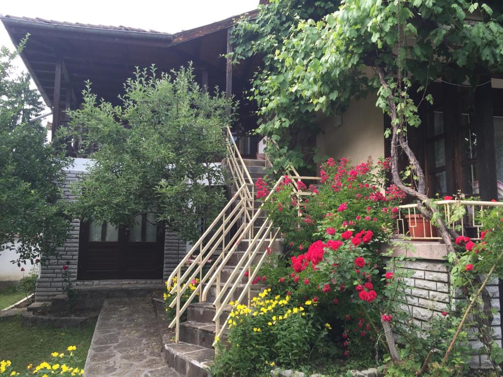 Fotografie z fotogalerie ubytování Luylyana Guesthouse v destinaci Ribarica