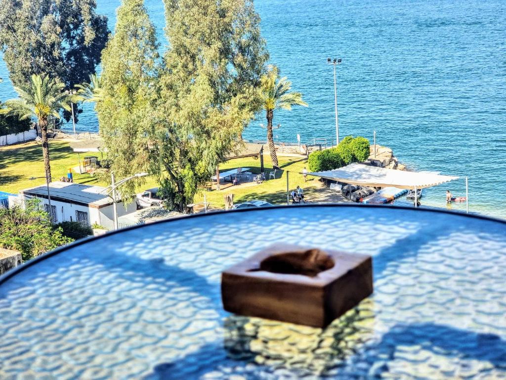a bath tub with a dog laying in the water at Tiberias 520 in Tiberias