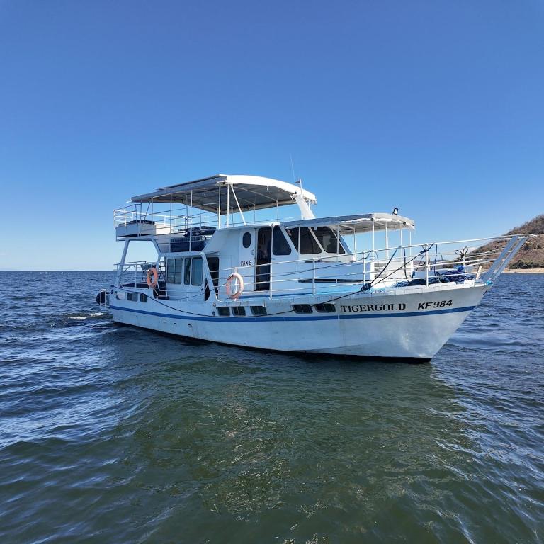 Tiger Gold House Boat