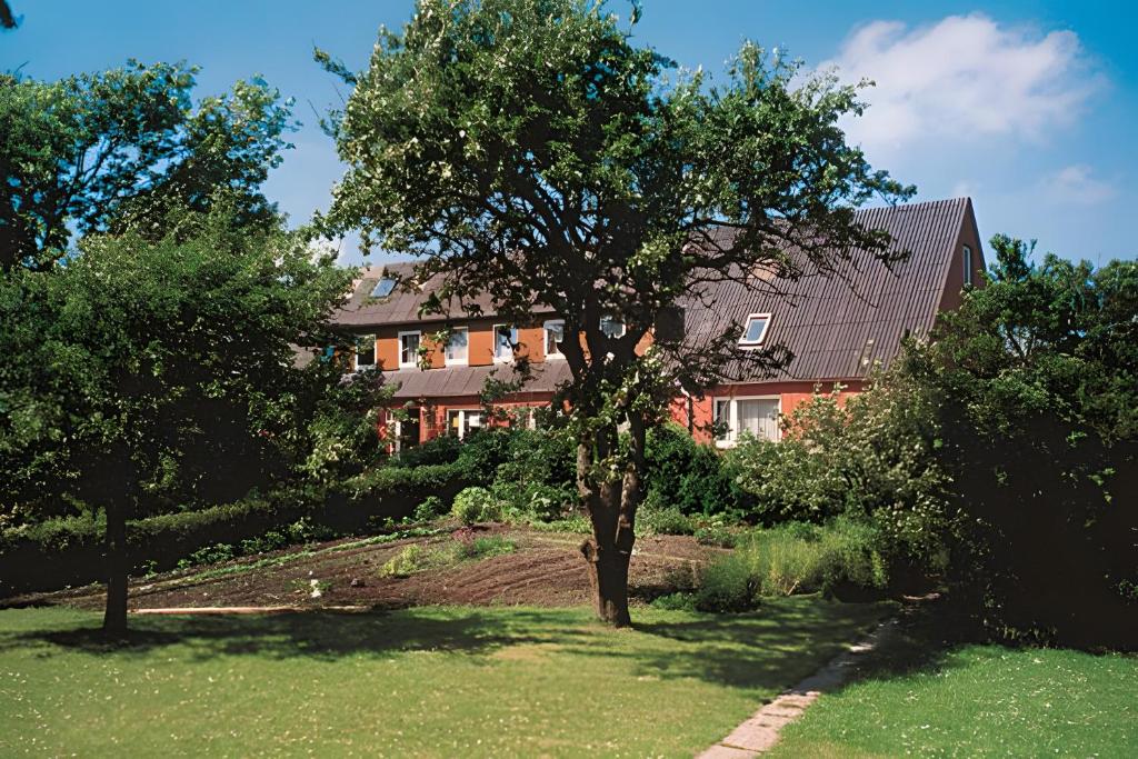 a house in the middle of a yard with trees at Ferienhof Rosenwarft in Pellworm