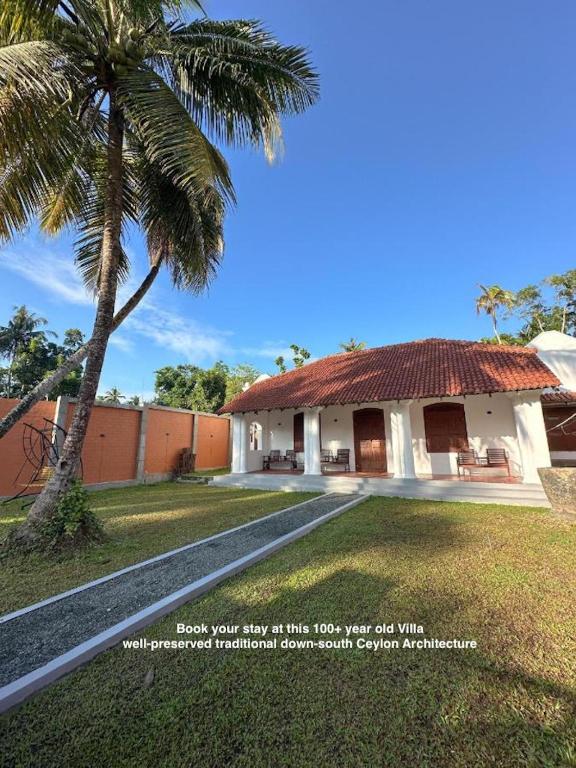a house with a palm tree in front of it at MAYA Ahangama in Ahangama