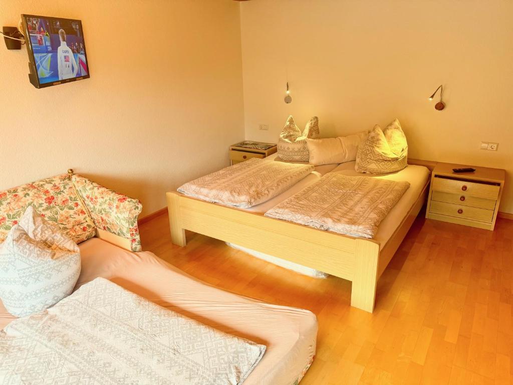 Steiert Panorama Apartments Todtnau - 山景一卧室公寓 - 带阳台