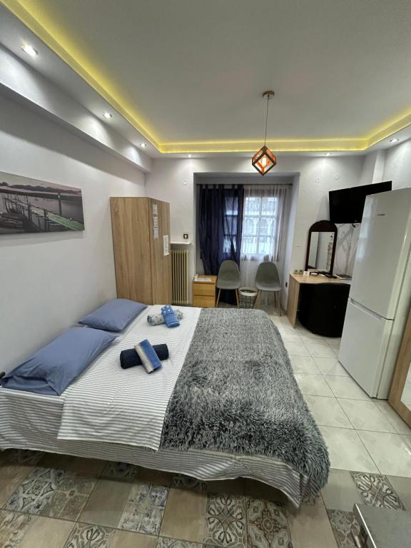 a bedroom with a large bed in a room at Ano Poli Studios 1 in Thessaloniki