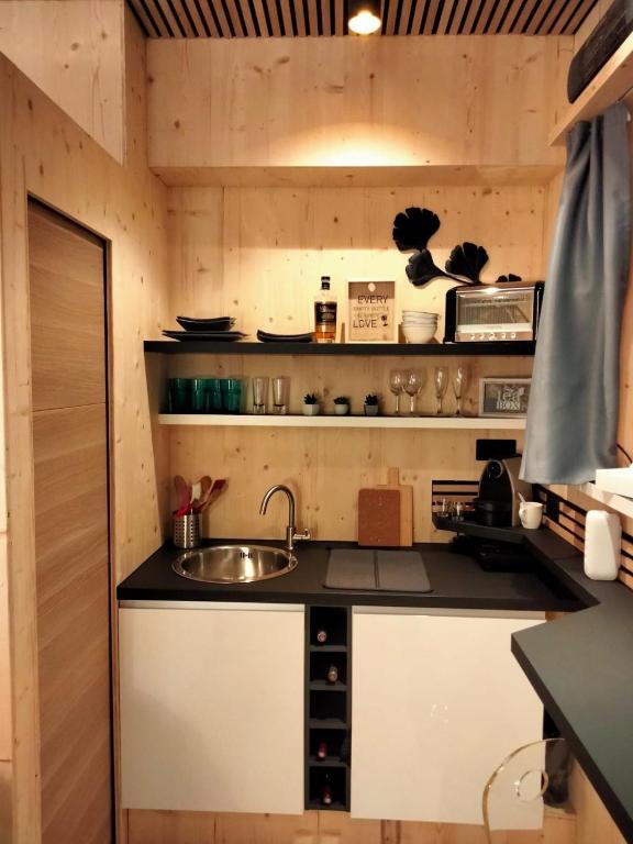 una cucina con un lavello e un piano di lavoro di Scandic tiny a Saint-Julien-en-Genevois