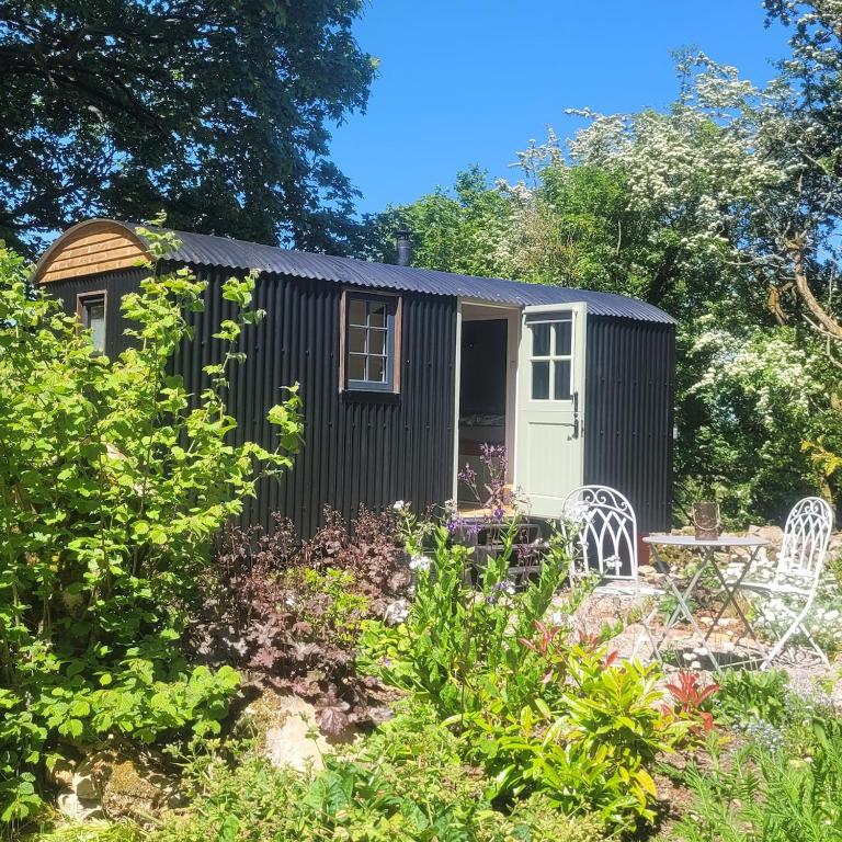a black shed with a white door in a garden at Cwt Cen y Coed in Llanferres